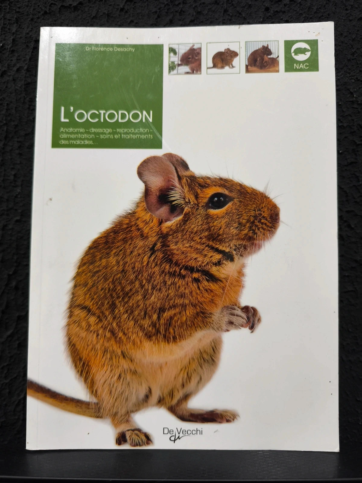 L'octodon